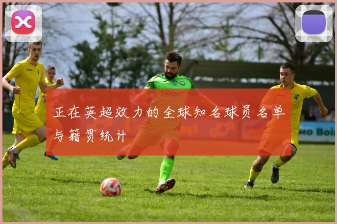 正在英超效力的全球知名球员名单与籍贯统计