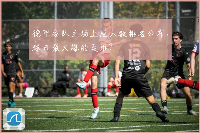 德甲各队主场上座人数排名公布，球市最火爆的是谁？