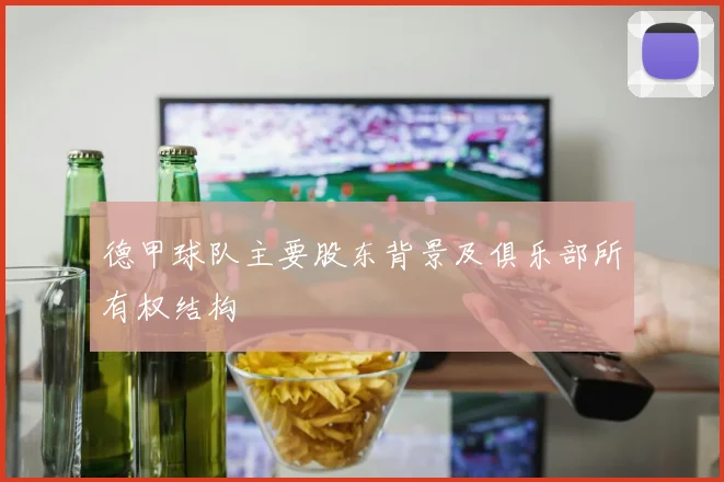 德甲球队主要股东背景及俱乐部所有权结构