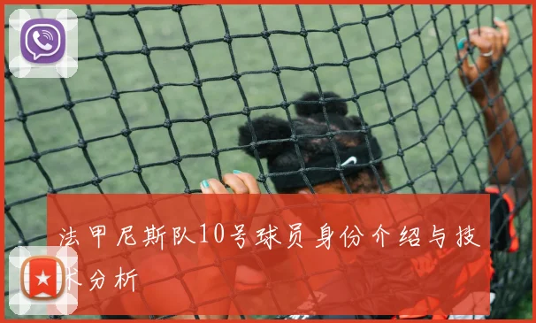 法甲尼斯队10号球员身份介绍与技术分析