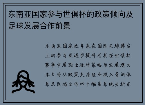 东南亚国家参与世俱杯的政策倾向及足球发展合作前景